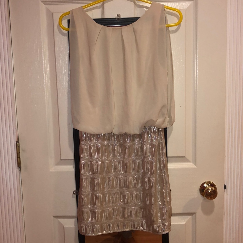 Cream Colored Dress with Shiny Material at Bottom